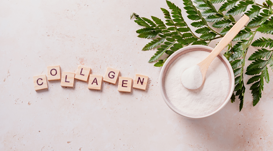 The Power of Collagen