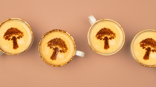 Why Switch to Mushroom Coffee?